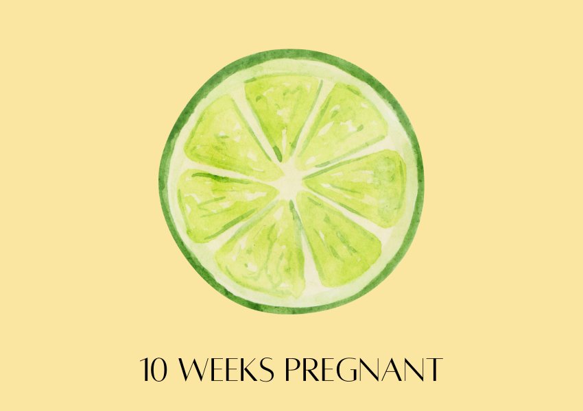 baby fruit size pregnancy week 10