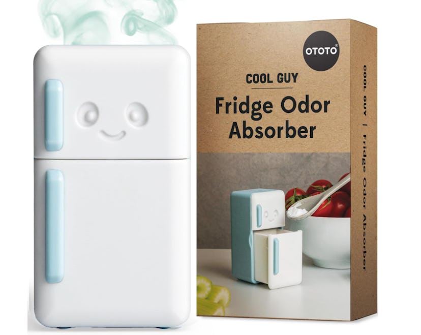 OTOTO Fridge Deodorizer