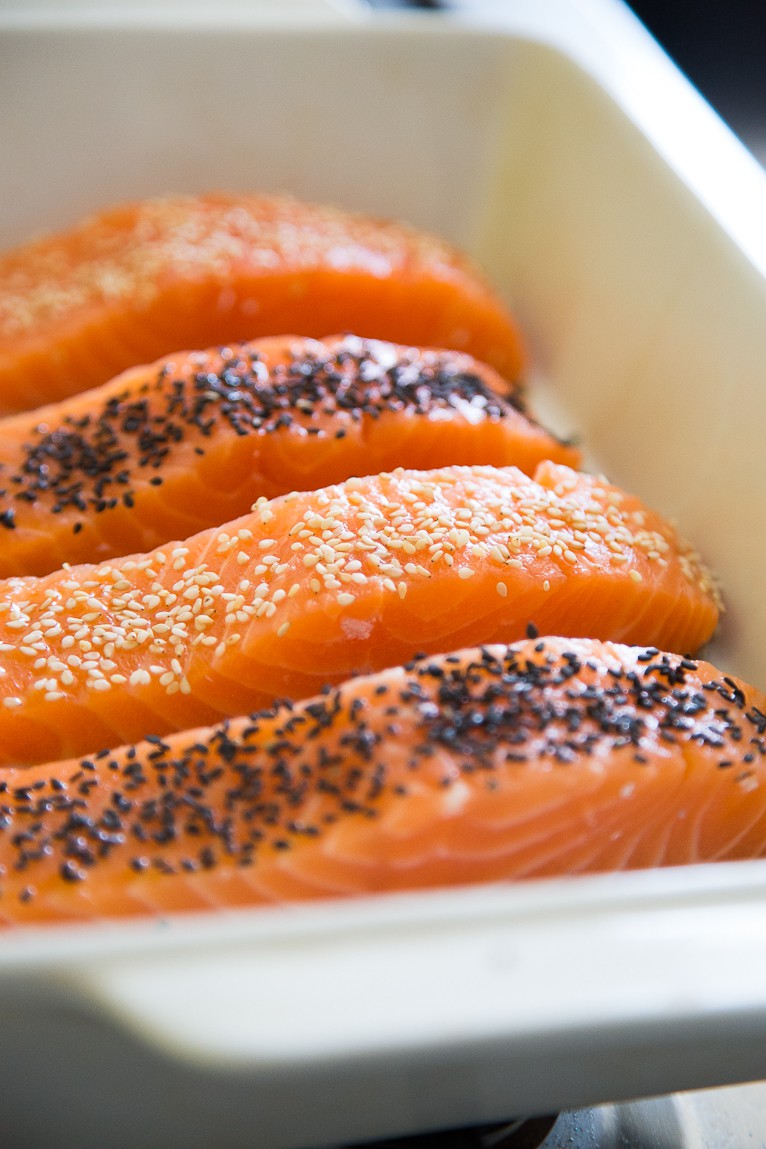 fresh raw salmon